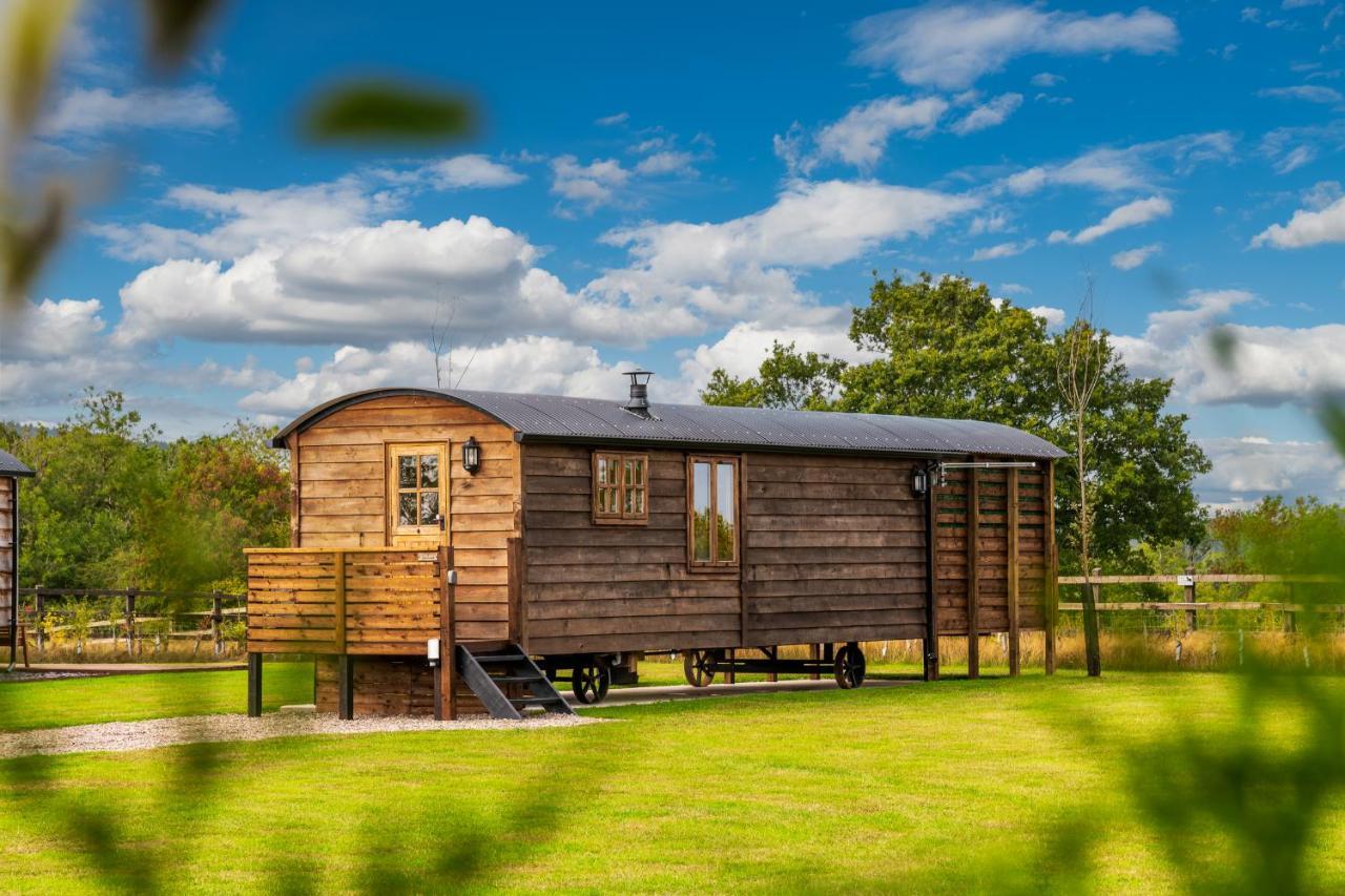 דירות וורצ'סטר Ashwood Shepherd Hut -Ockeridge Rural Retreats מראה חיצוני תמונה